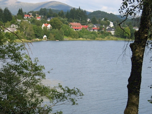 softeland lakeshore